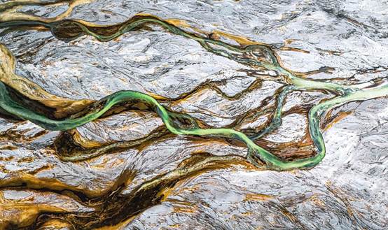 白金大地之树.+黄成杰