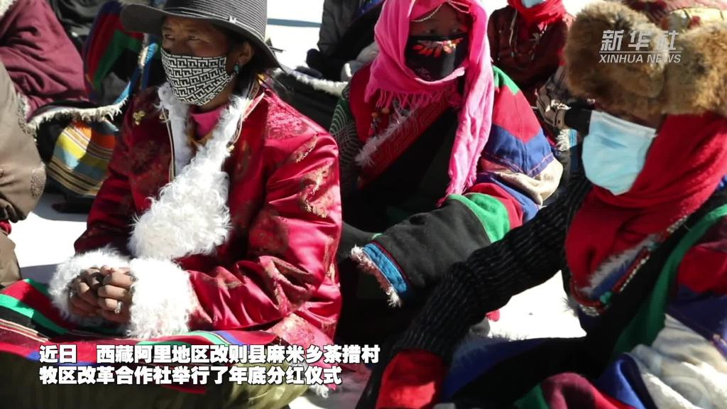 【微视频】西藏：牧区合作社分红帮助牧民增收