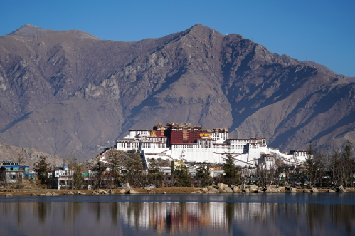 西藏大学科研成果获2022年度自治区科学技术奖
